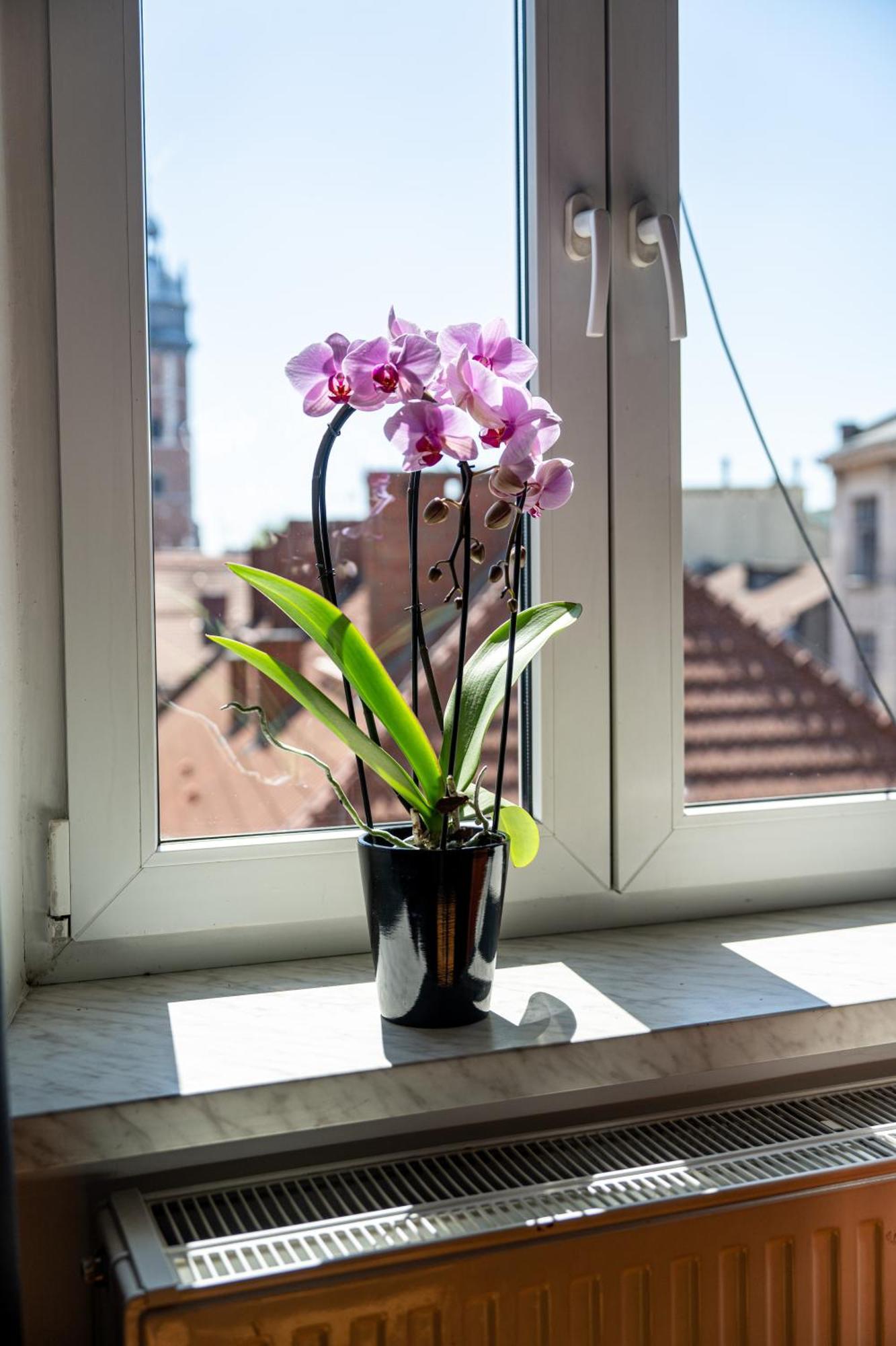 Vista View Apartment Krakow Dış mekan fotoğraf